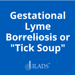 Gestational Lyme Borreliosis or ""Tick Soup""
