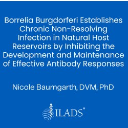 Borrelia Burgdorferi Establishes Chronic Non-Resolving Infection in Nature Host Reservoirs