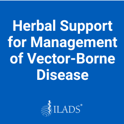 Herbal Support for Management of Vector-Borne Disease