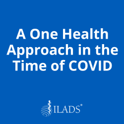 A One Health Approach in the Time of COVID