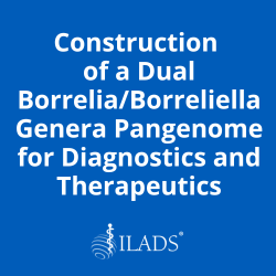Construction of a Dual Borrelia/Borreliella Genera Pangenome for Diagnostics and Therapeutics