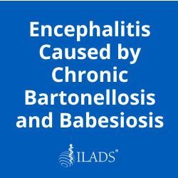 Encephalitis Caused by Chronic Bartonellosis and Babesiosis