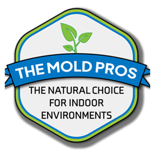 The Mold Pros