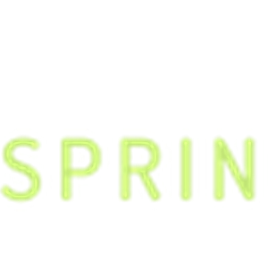 Photo of Spring Bird