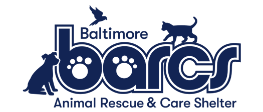 BARCS volunteering