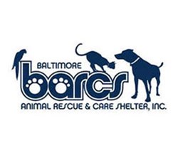 BARCS Volunteering 