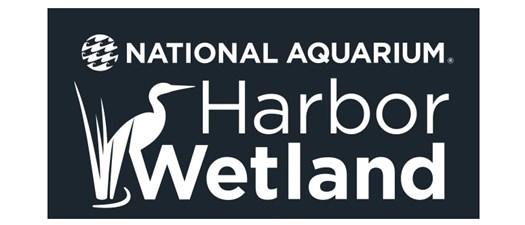IREM MD Volunteer - Harbor Wetlands with the National Aquarium