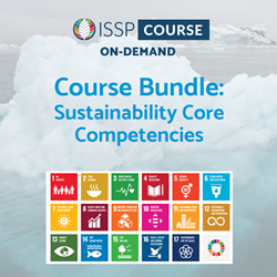 Sustainability Core Competencies Course - Middle Emerging Economy