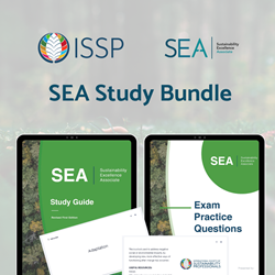 SEA Exam Study Bundle