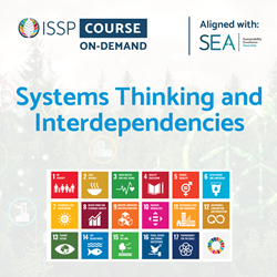 Systems Thinking and Interdependencies Course