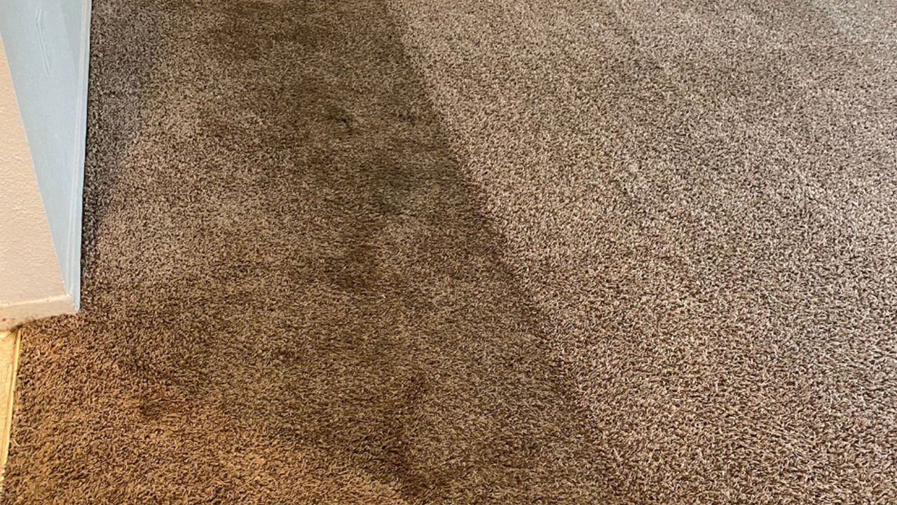 Carpet Tech Before & After