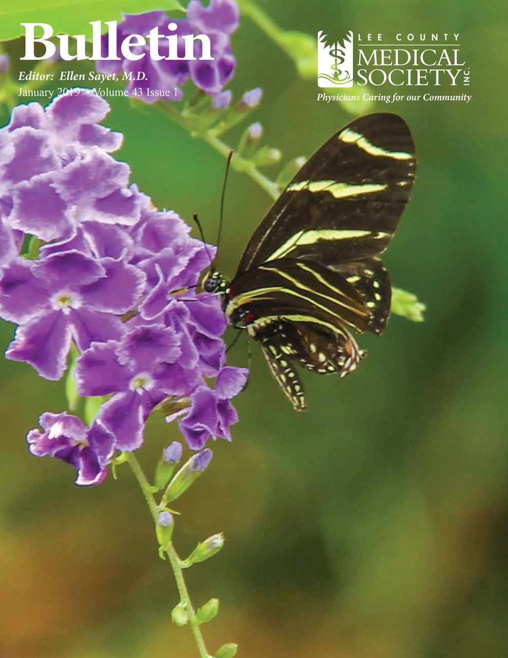 Medical Bulletin 2019 Jan