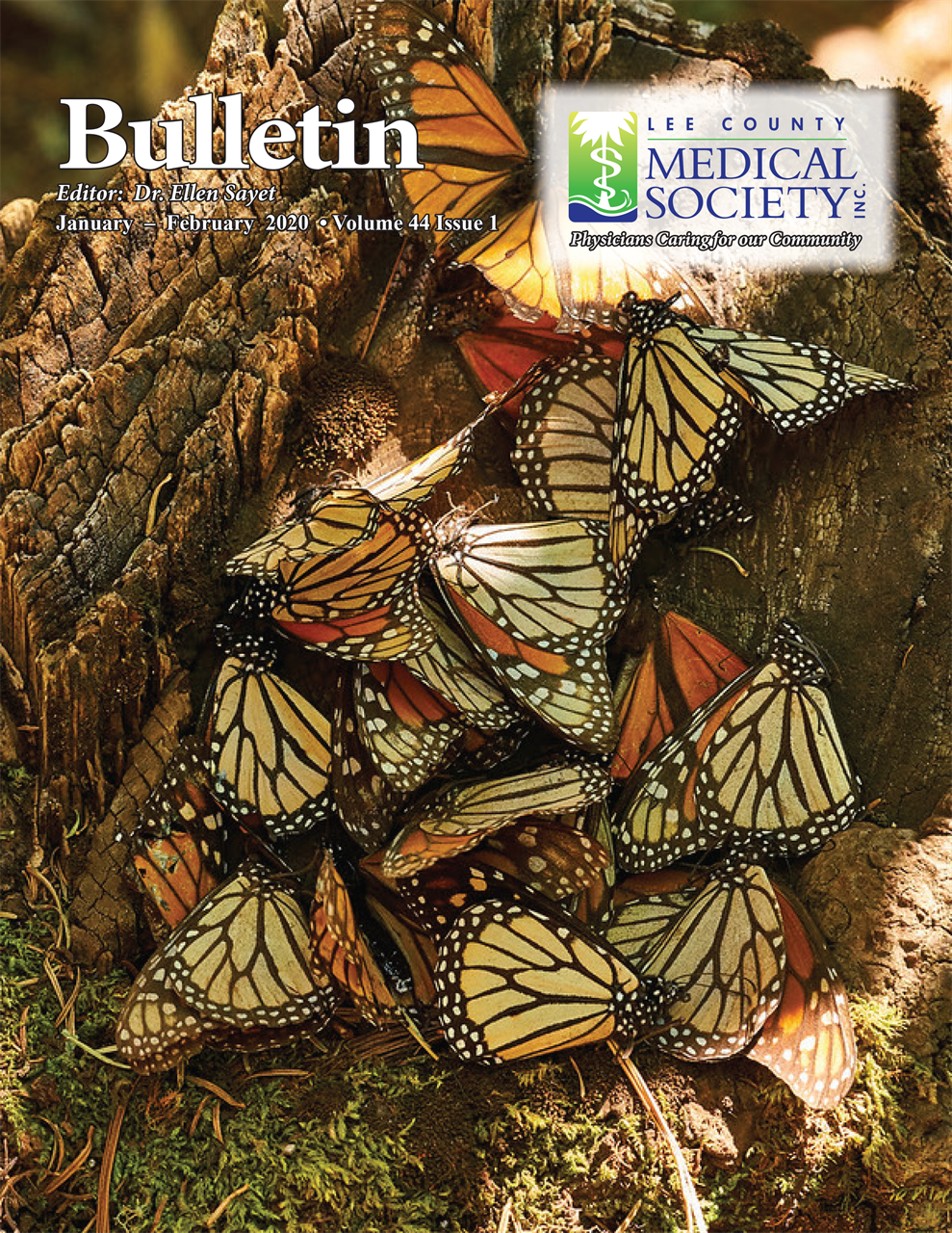 Medical Bulletin 2020 Jan/Feb