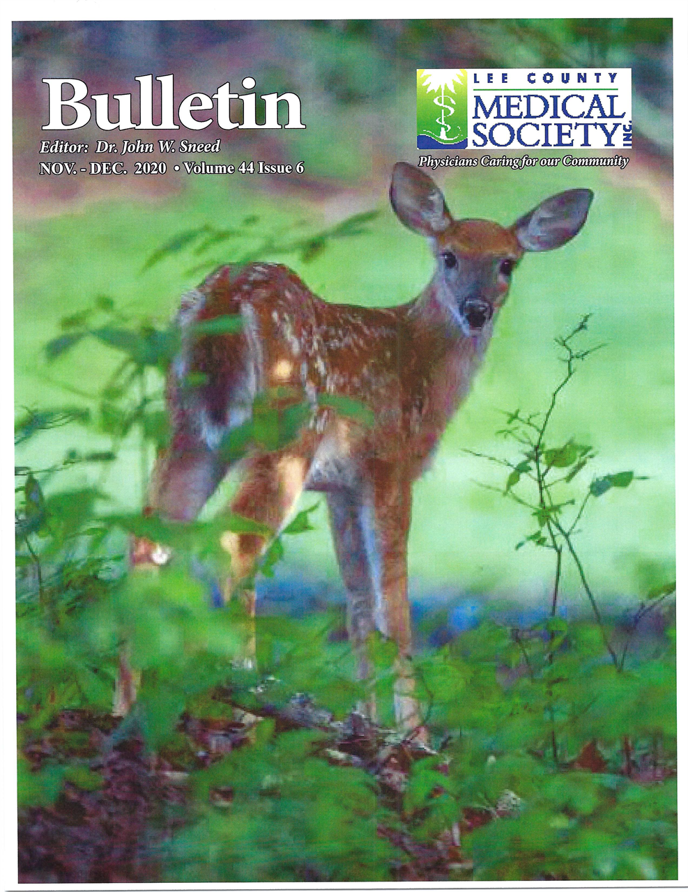 Medical Bulletin 2020 Nov/Dec