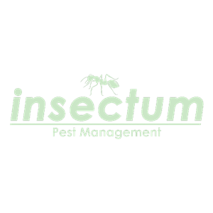 Photo of smb Insectum