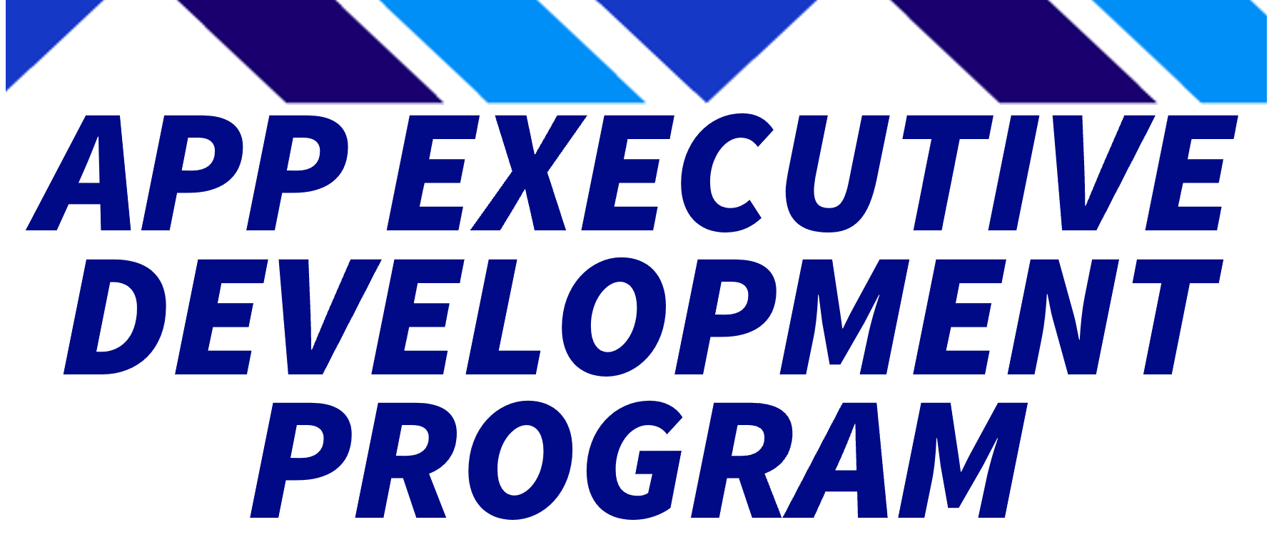 APP Executive Development Program Logo