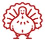 Turkey Icon