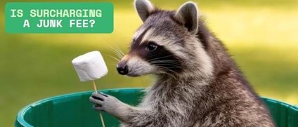 APP Webinar: "Is Surcharging a Junk Fee?"