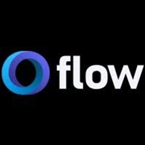 Photo of Flow