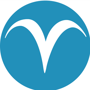 V Solutions Global