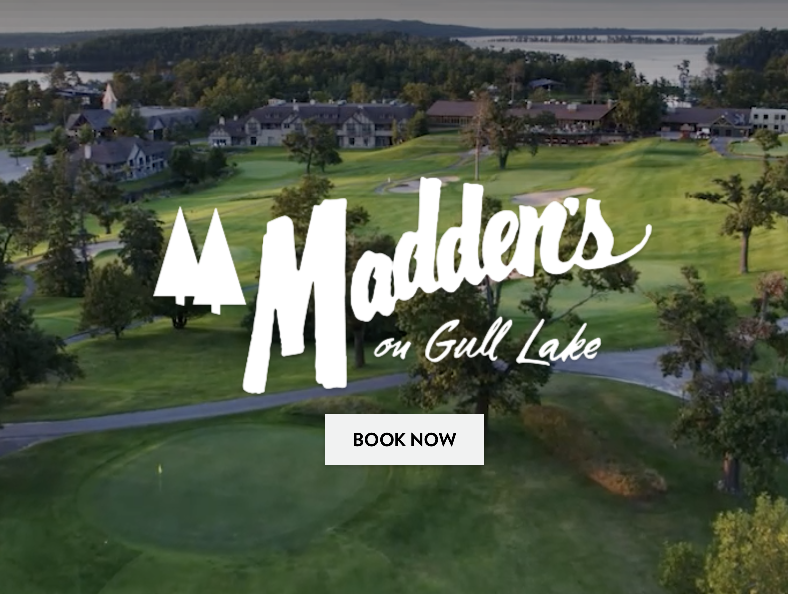Madden's On Gull Lake Photo - Book Now button