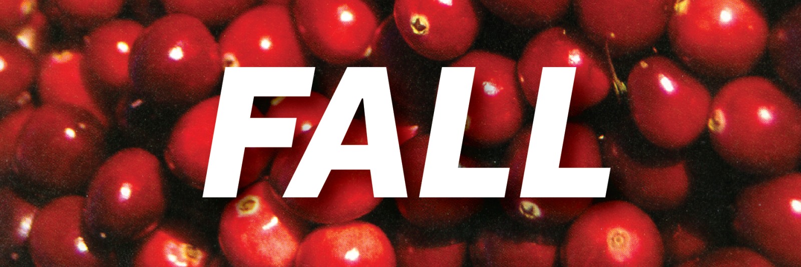 fall