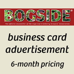 Bogside Business Card Ad  6-month pricing