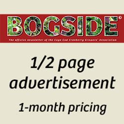 Bogside 1/2 Page Ad 1-month pricing