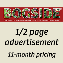 Bogside 1/2 Page Ad 11-month pricing