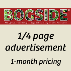 Bogside 1/4 Page Ad 1-month pricing