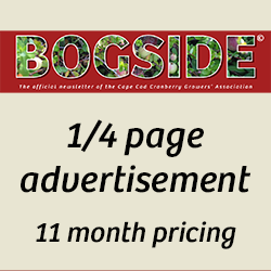 Bogside 1/4 Page Ad 11-month pricing