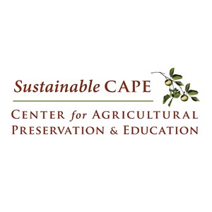 Photo of Sustainable CAPE