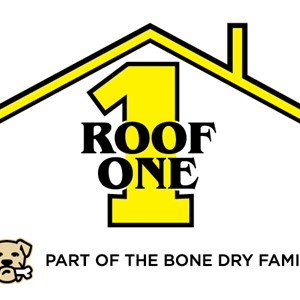 Photo of Roof One