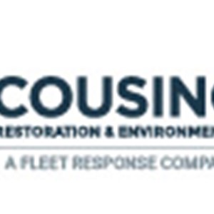 Photo of Cousino Restoration