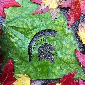 Photo of Maria Zagorski, LLC
