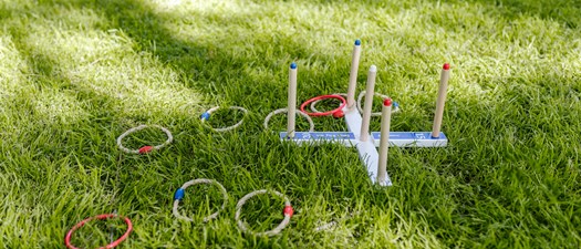 SWV Family Carnival & Picnic