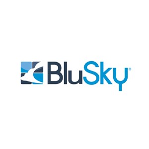 BluSky Restoration Contractors