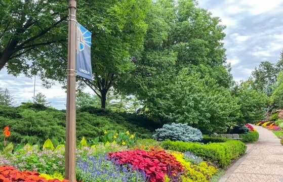 Sunken gardens image