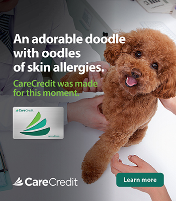 CareCredit