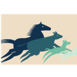 Paws & Play Fundraiser - Event Sponsor