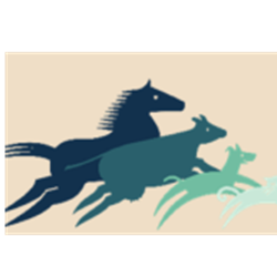 Paws & Play Fundraiser - Games Sponsor