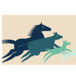 Paws & Play Fundraiser - Room Sponsor