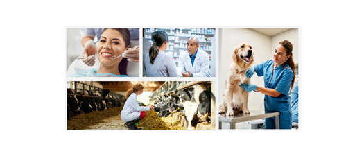 One Health Antimicrobial Stewardship Summit