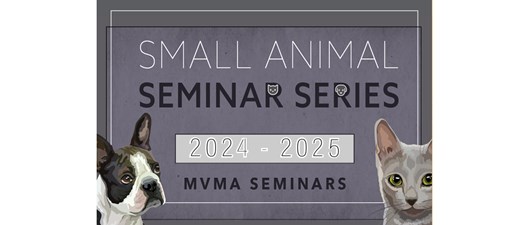 April 2025 Small Animal Seminar: Geriatrics and Hospice for the General Practitioner