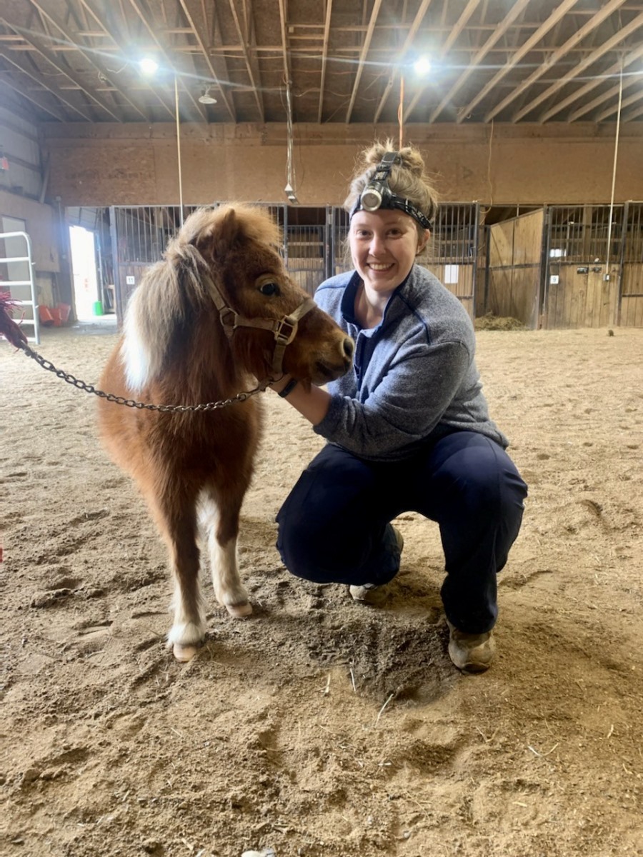 vet with mini horse