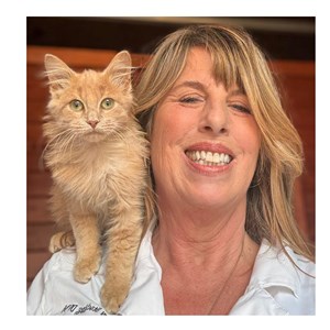 Photo of Linden Stocking