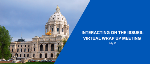 Interacting on the Issues—Online