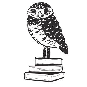 Photo of Burrowing Owl Books - Canyon