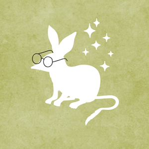 Photo of the little wild library