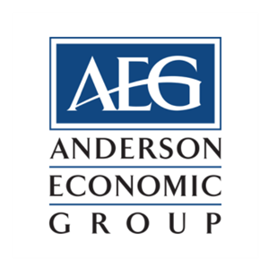 Photo of Anderson Economic Group, LLC